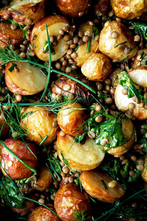 Close up of roasted potato salad with lentils and herbs.