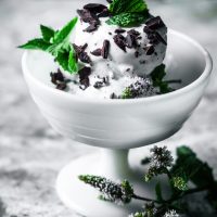 Vegan Mint Chocolate Chip Ice Cream | occasionallyeggs.com