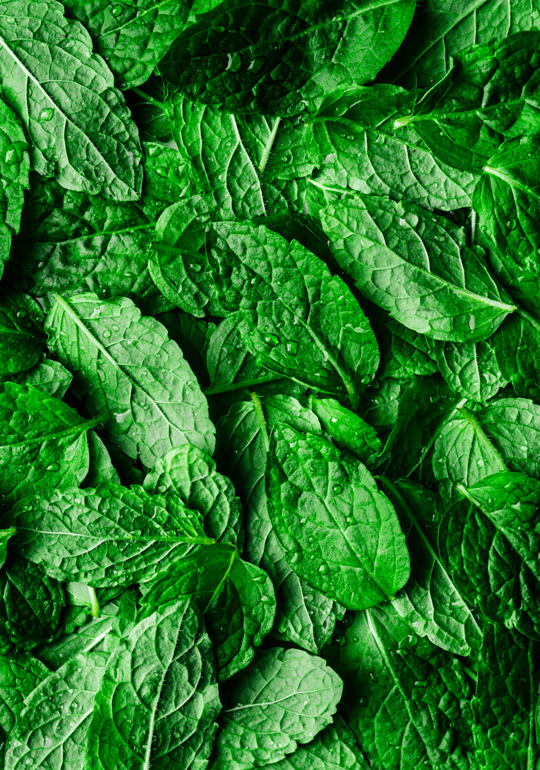 White Bean Salad with Herb Dressing | occasionallyeggs.com #veganrecipes #healthy #greens