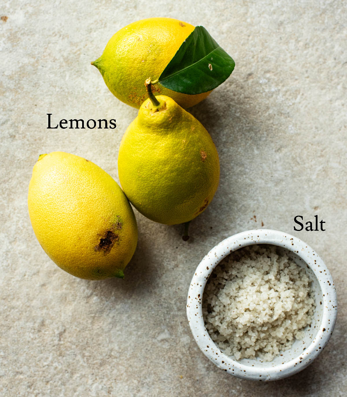 Preserved lemons ingredients with labels.