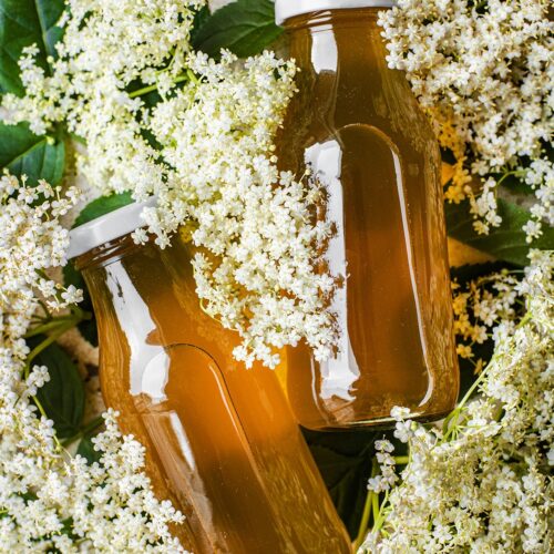 Two small glass bottles of elderflower cordial lying in several elderflower heads.