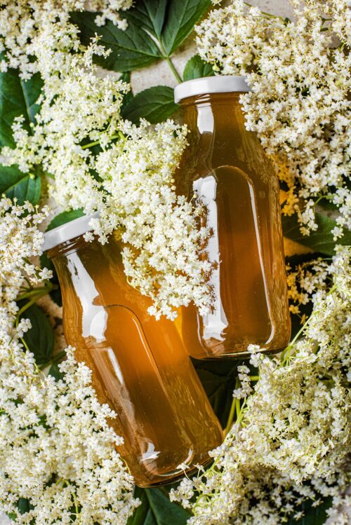 Two small glass bottles of elderflower cordial lying in several elderflower heads.