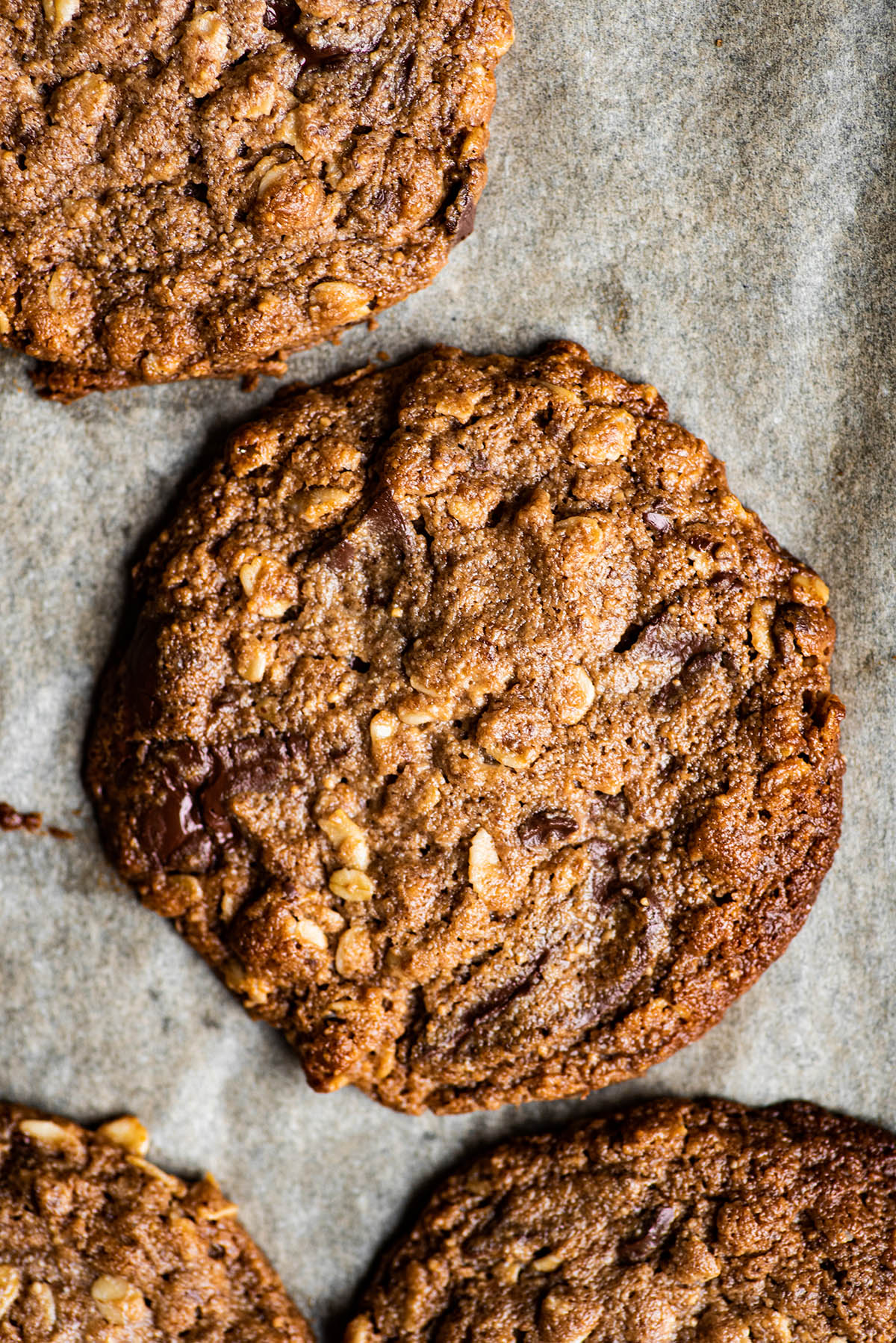 Close up of a chocolate chunk peanut butter oatmeal cookie.