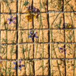 Baked crackers topped with edible flowers and herbs, cut into small squares.