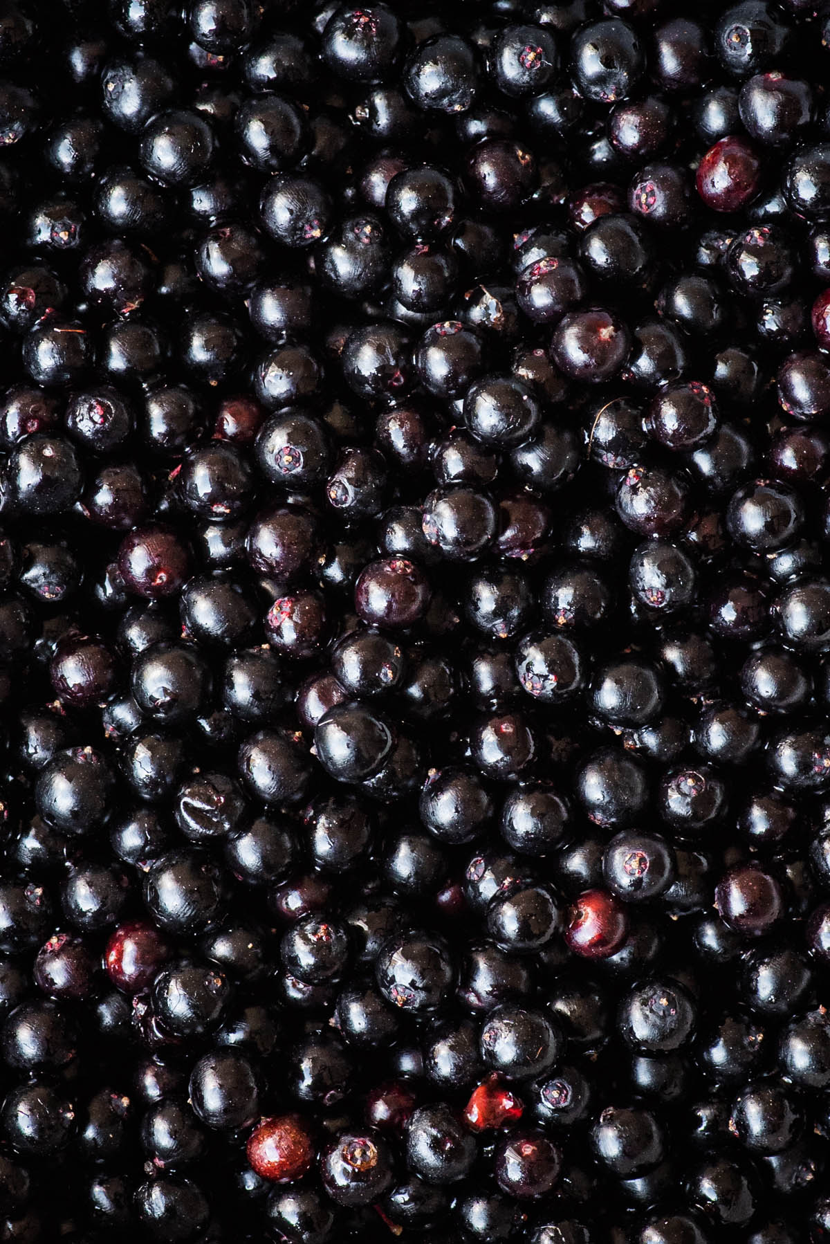 Close up of berries after being removed from the stems.