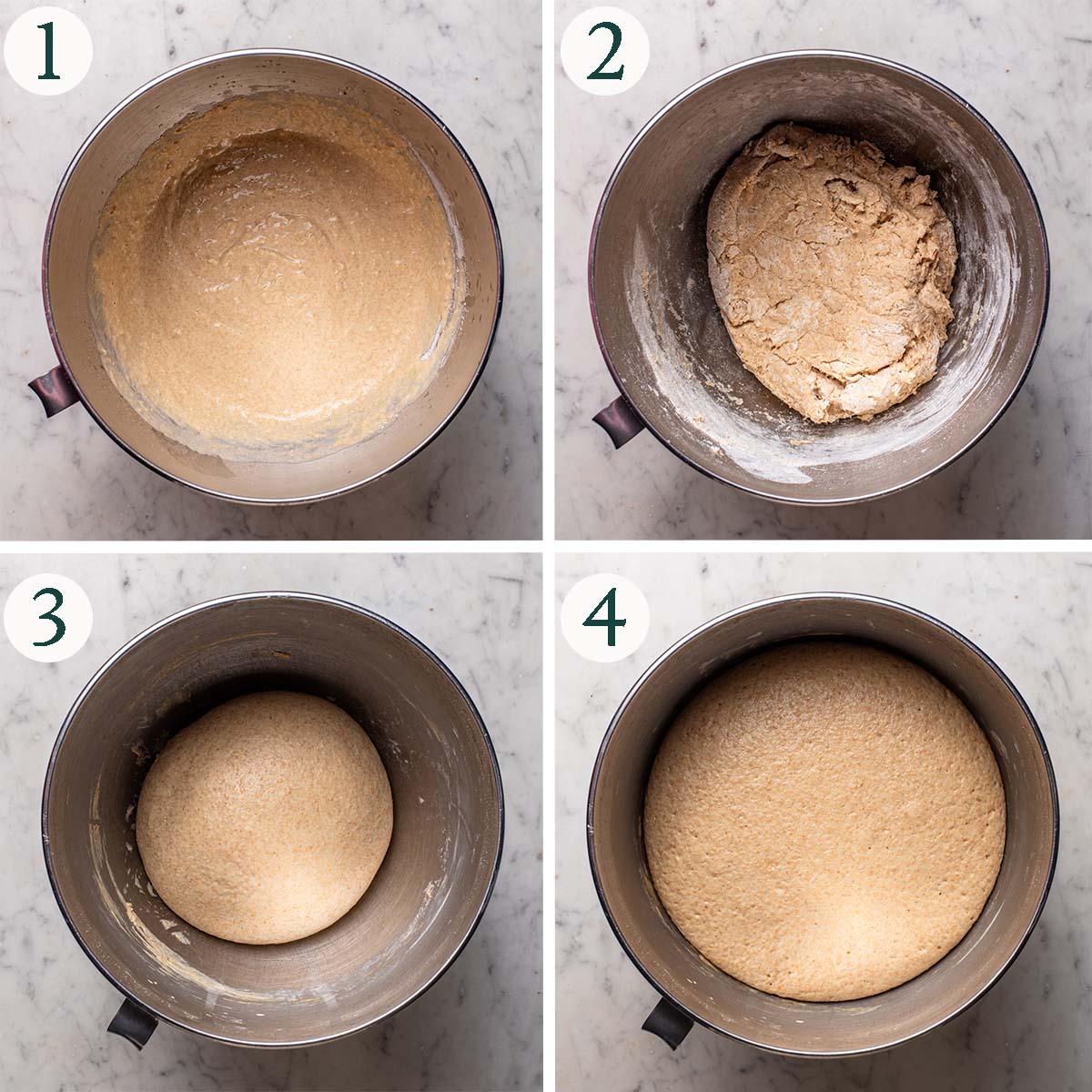 Einkorn bread steps 1 to 4, wet ingredients mixed, shaggy dough, before and after rising.