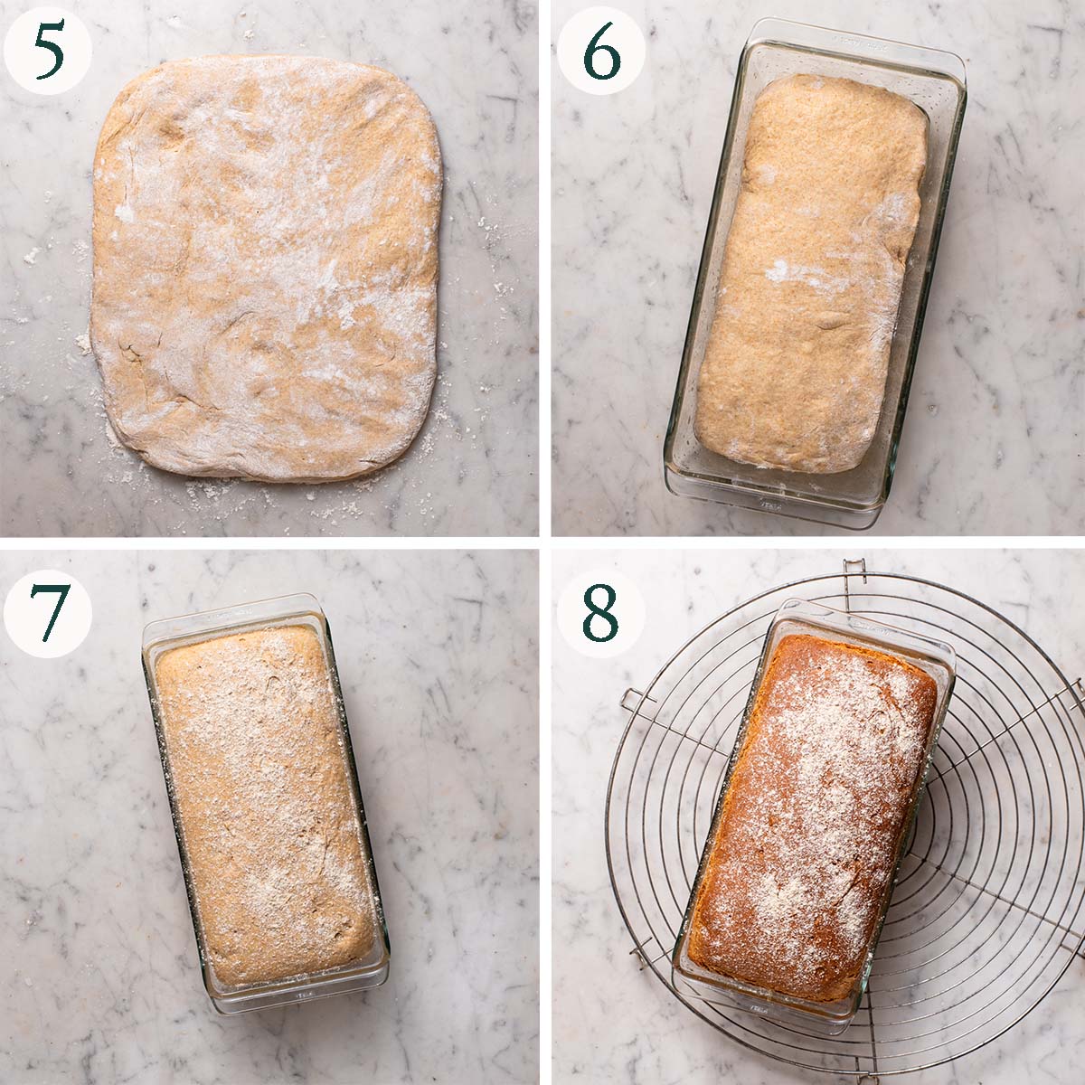 Bread steps 5 to 8, patted out dough, before rising, after rising, and after baking.