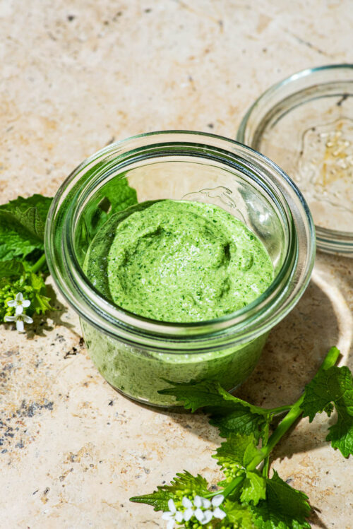 Close up of light green pesto in a glass jar with garlic mustard flowers around.