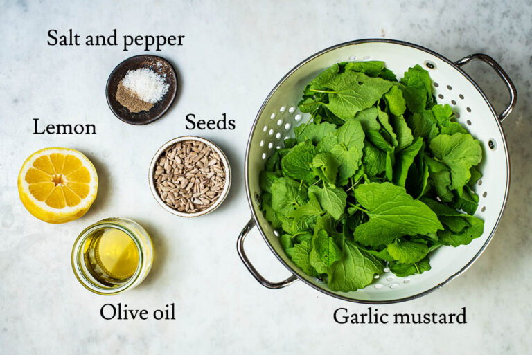 Garlic Mustard Pesto Occasionally Eggs