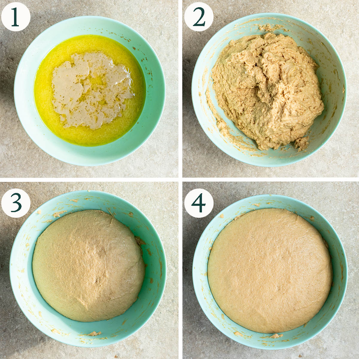 Bread steps 1 to 4, yeast mixture, dough before and after kneading and after rising.
