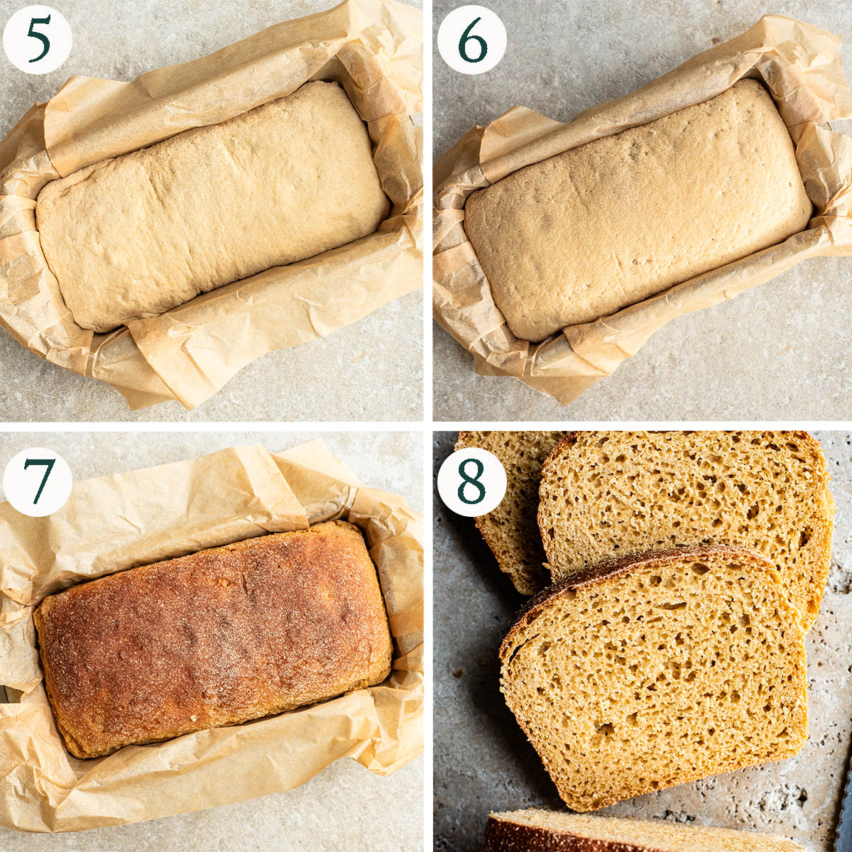 Sandwich bread steps 5 to 8, before and after rising, after baking, and sliced.
