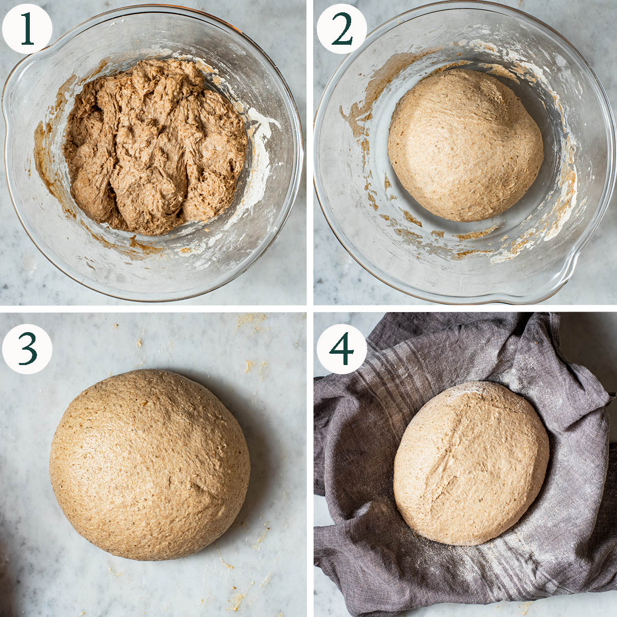 Sourdough steps 1 to 4, mixing the dough, shaped, and before rising.