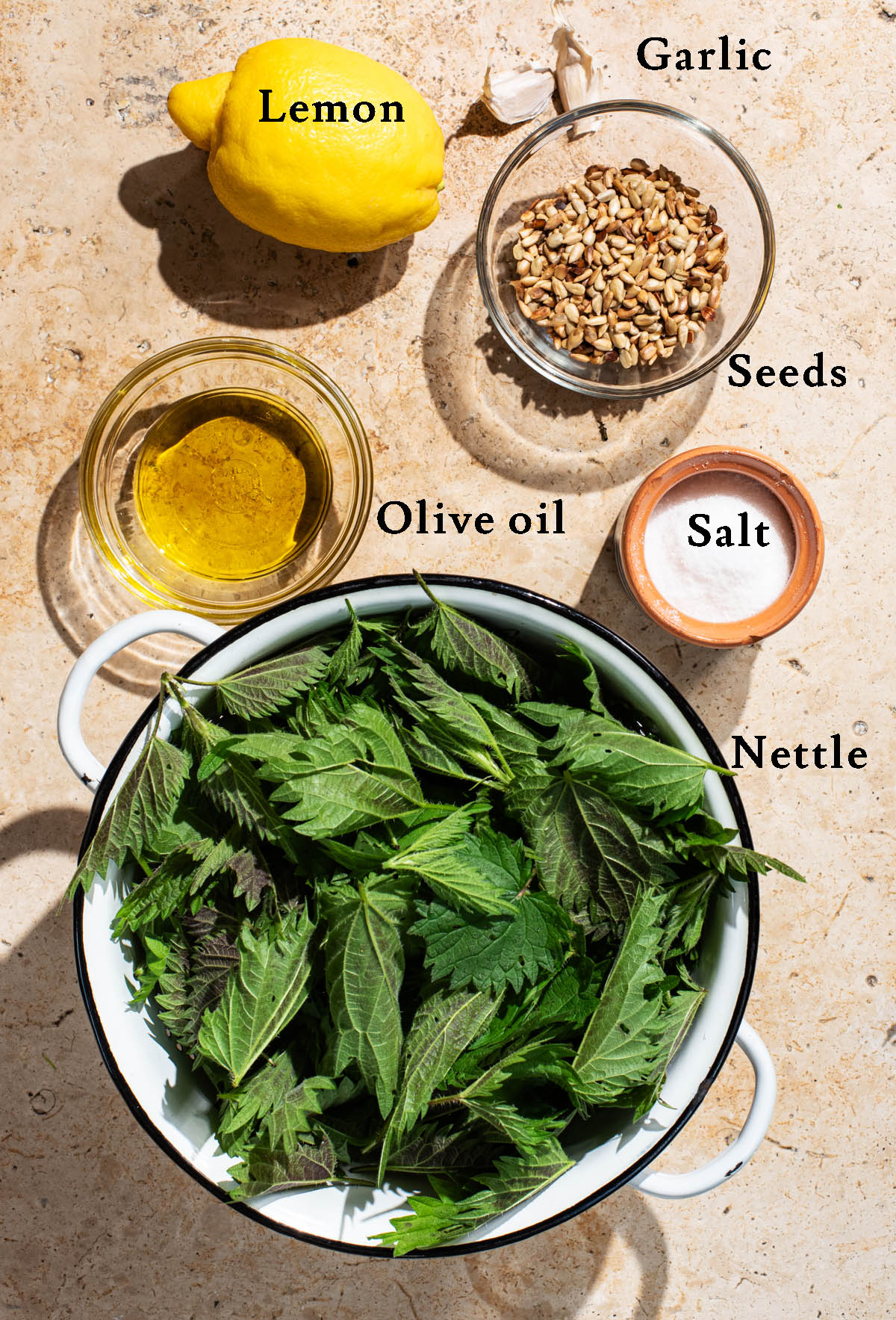 Stinging nettle pesto ingredients with labels.