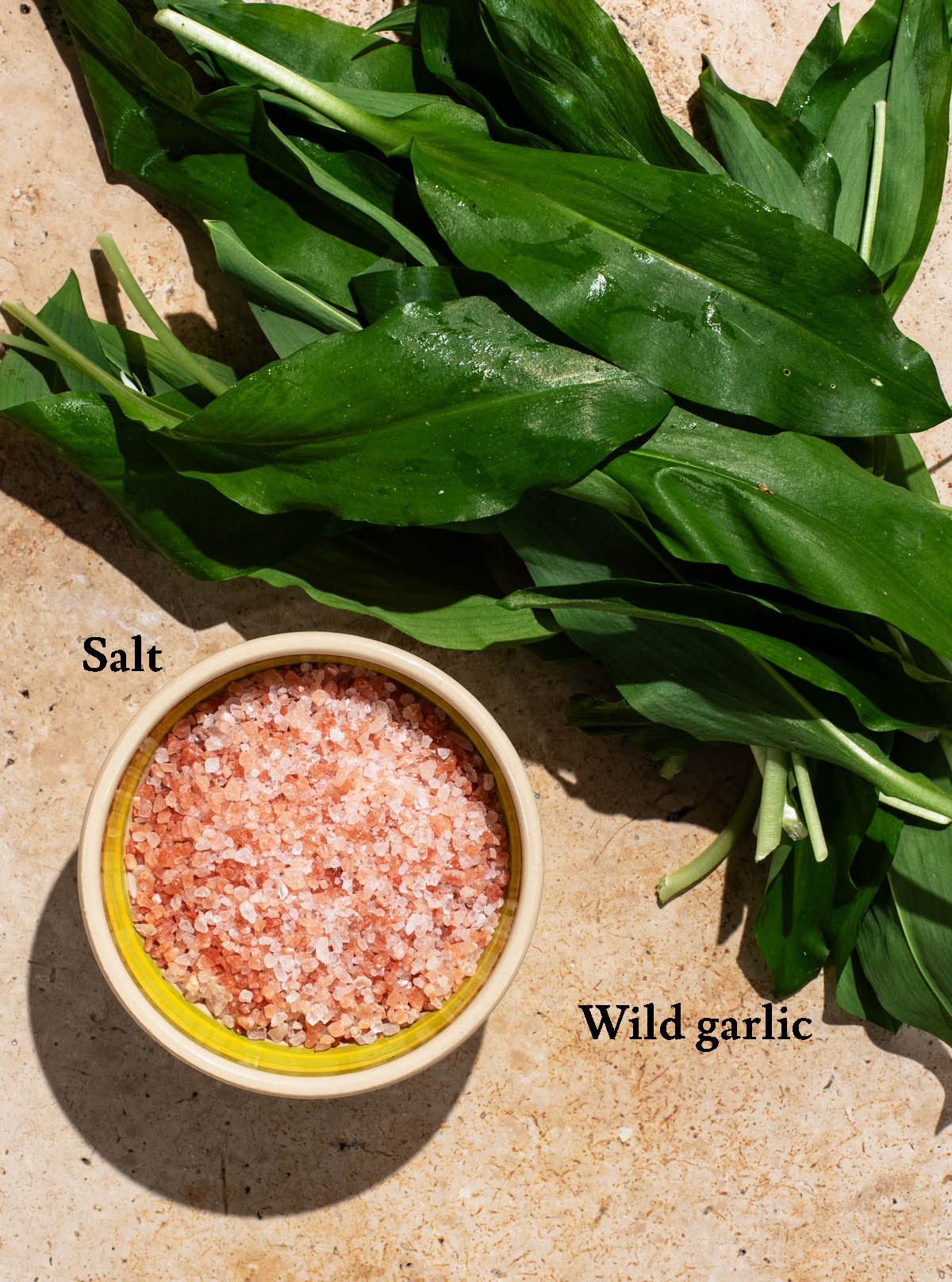 Wild garlic salt ingredients with labels.