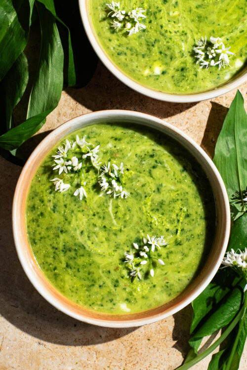 Two shallow bowls filled with green soup, topped with small white flowers.