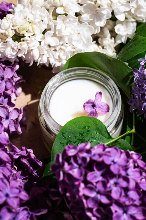 A small jar of white cream surrounded by lilac blossoms.