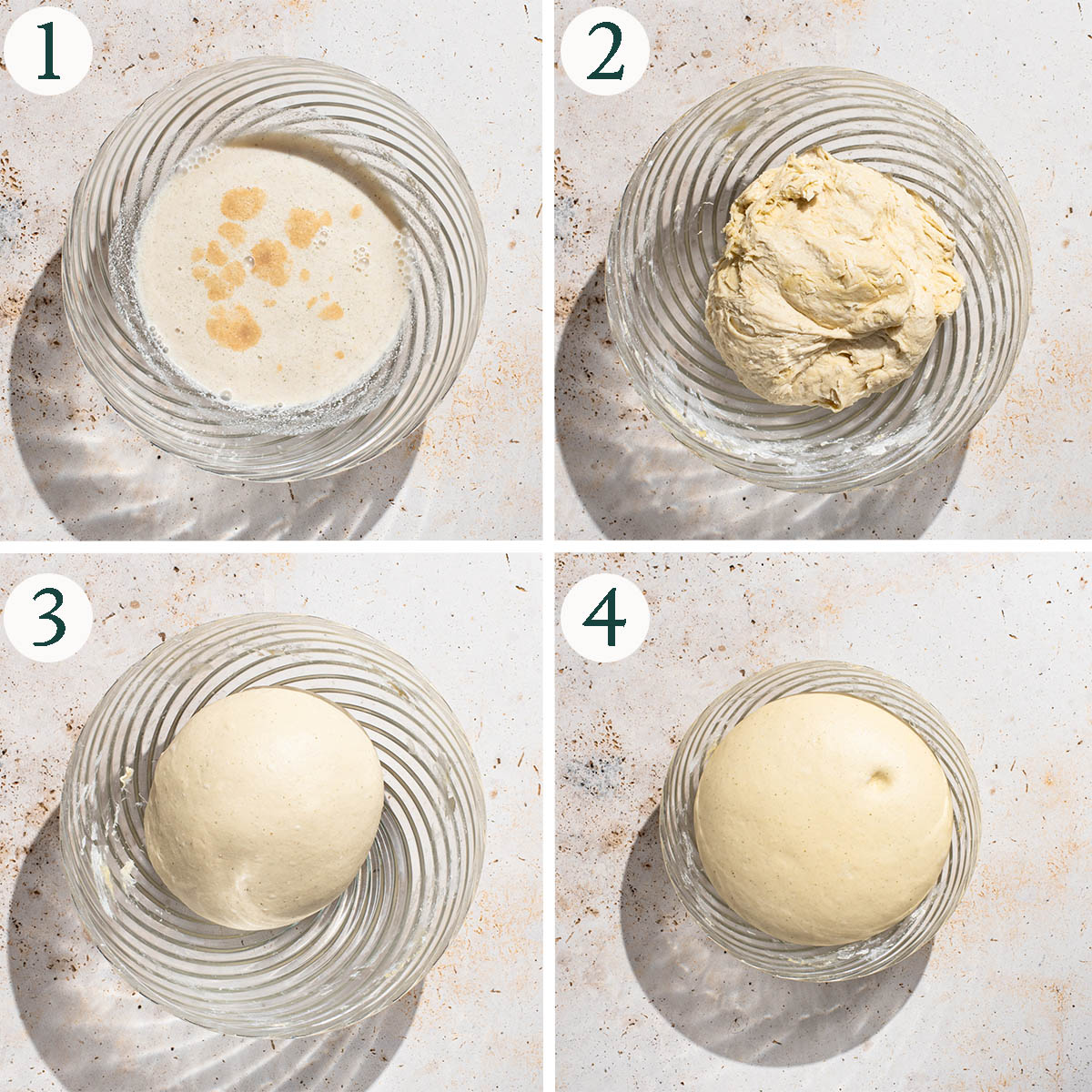 Bread dough steps 1 to 4, yeast blooming, before and after kneading, after rising.