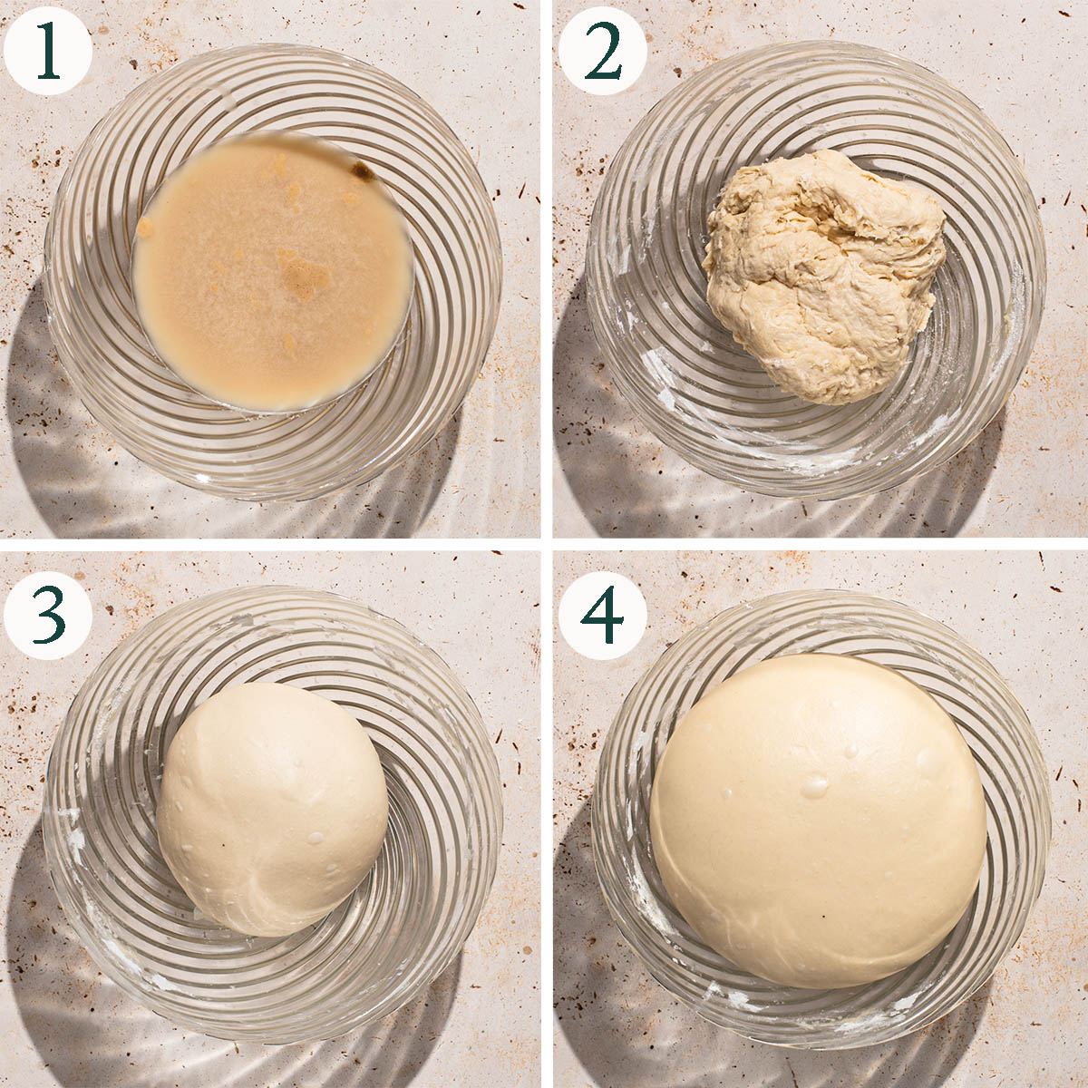 Sweet bread dough steps 1 to 4, foamy yeast, mixed dough, after kneading, after rising.