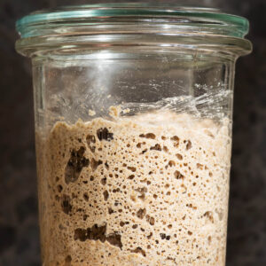 A glass jar with a lid filled with an active whole grain sourdough starter.