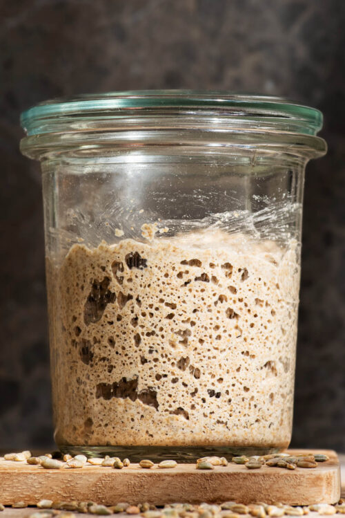 A glass jar with a lid filled with an active whole grain sourdough starter.