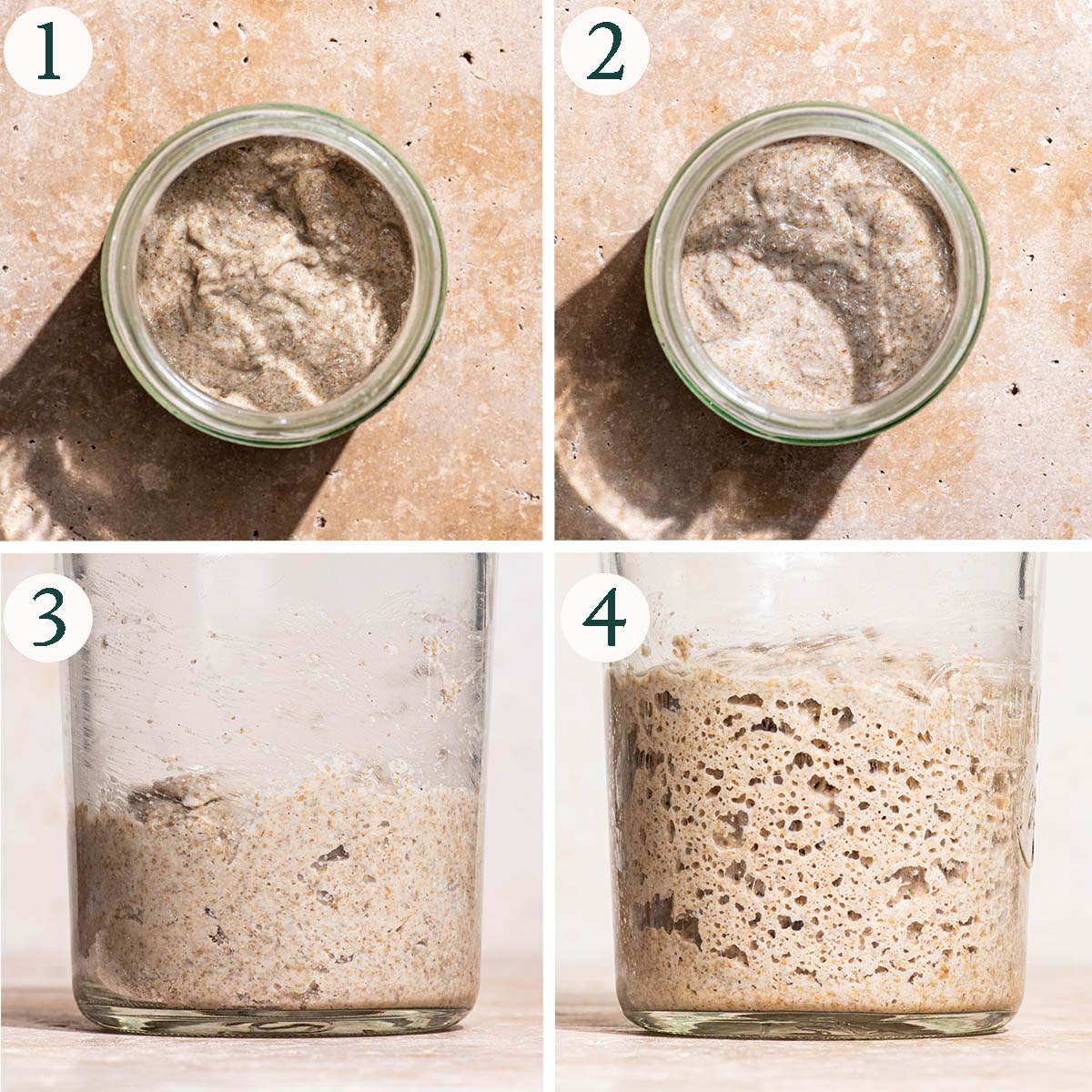 Sourdough starter steps 1 to 4, initial feeding, showing growth, and before and after feeding doubled in size.