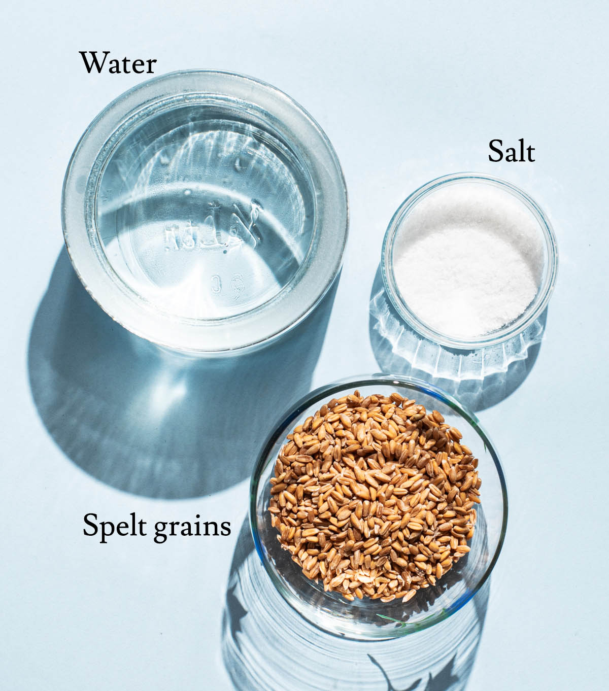 Spelt milk ingredients with labels.