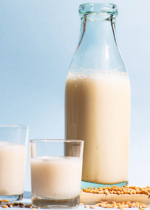 An old glass bottle and two cups filled with a milky drink, whole spelt grains beside.