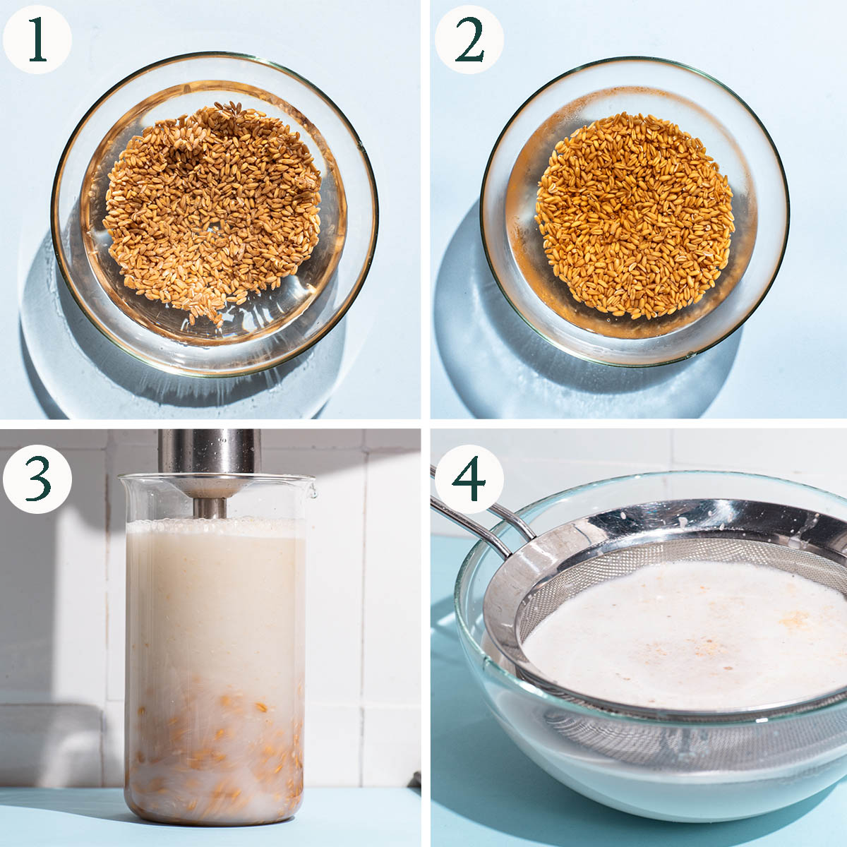 Non-dairy milk steps 1 to 4, soaked grains, blending, and straining.