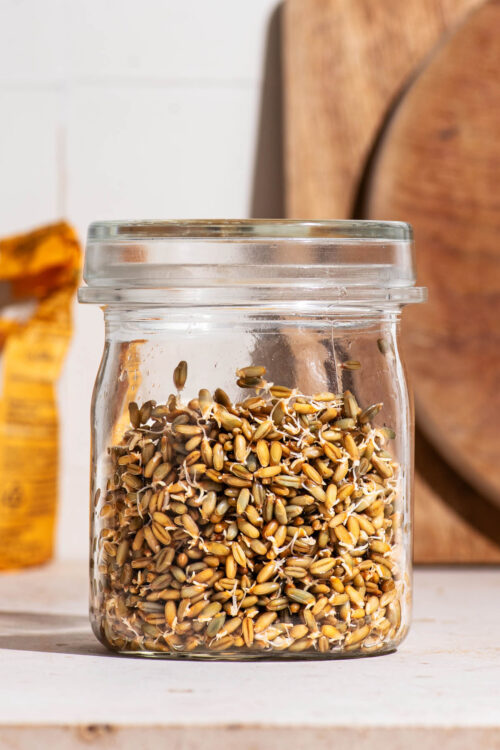 How to Make Sprouted Grains (and Sprouted Flour) - Occasionally Eggs