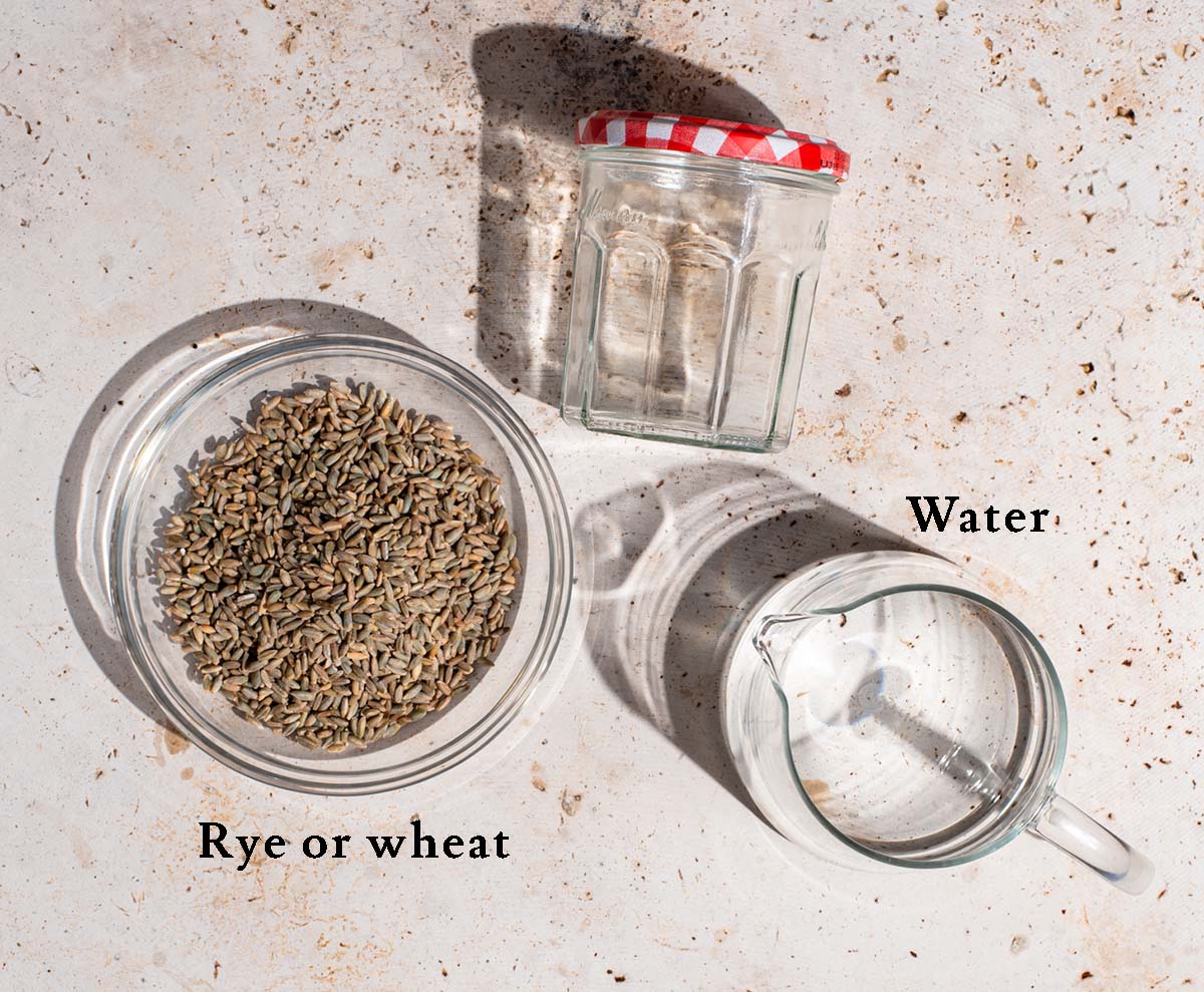 Sprouted grains ingredients with labels.