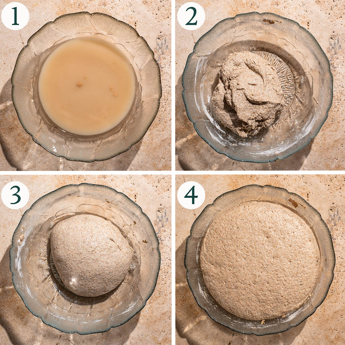 Bagels steps 1 to 4, mixing dough, before and after rising.