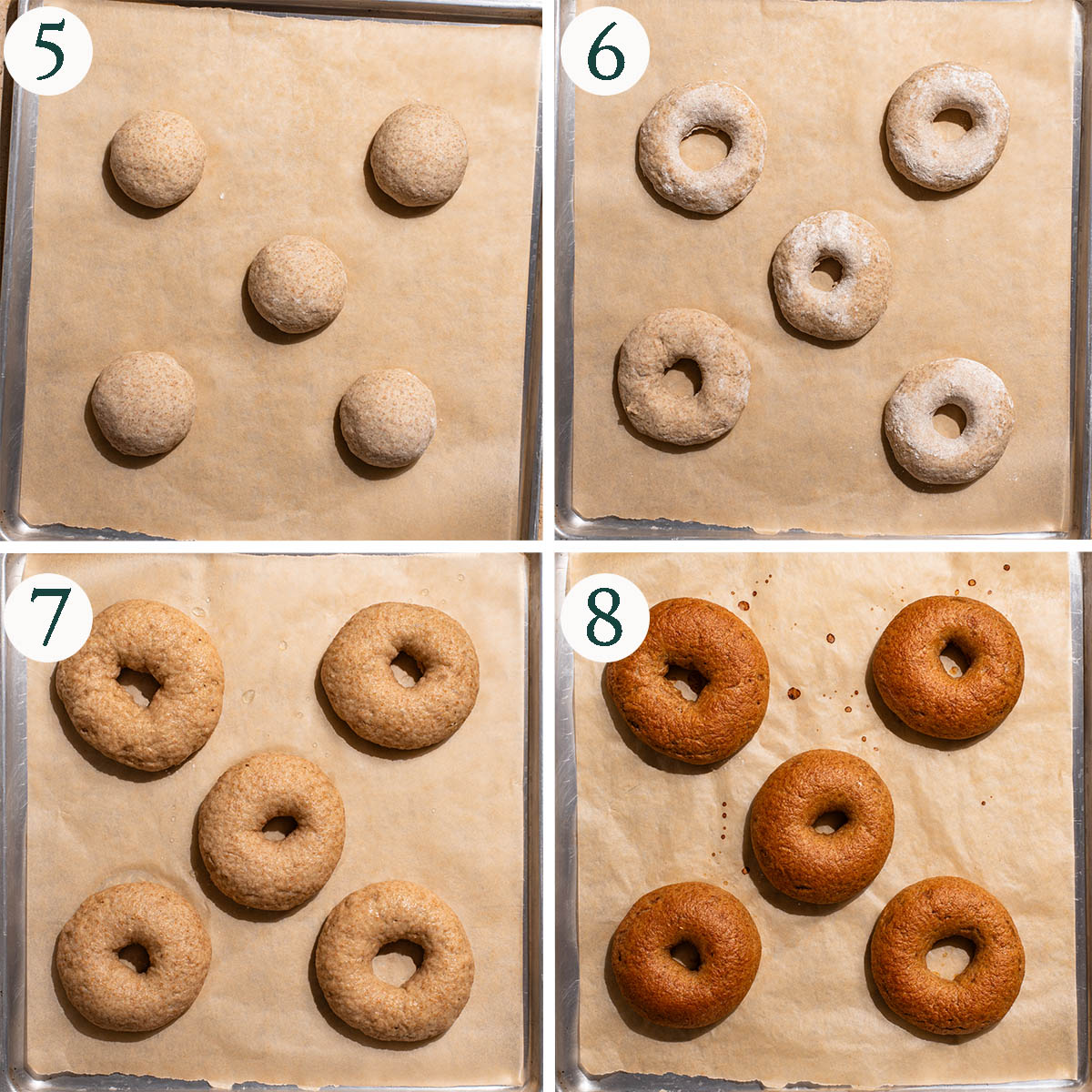 Bagels steps 5 to 8, shaping, after boiling, and after baking.