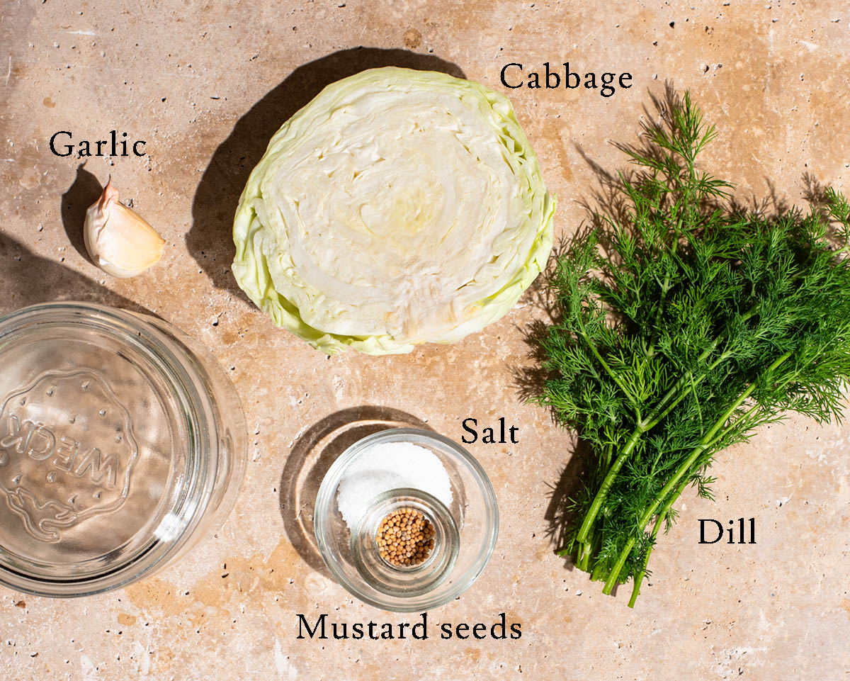Dill pickle sauerkraut ingredients with labels.