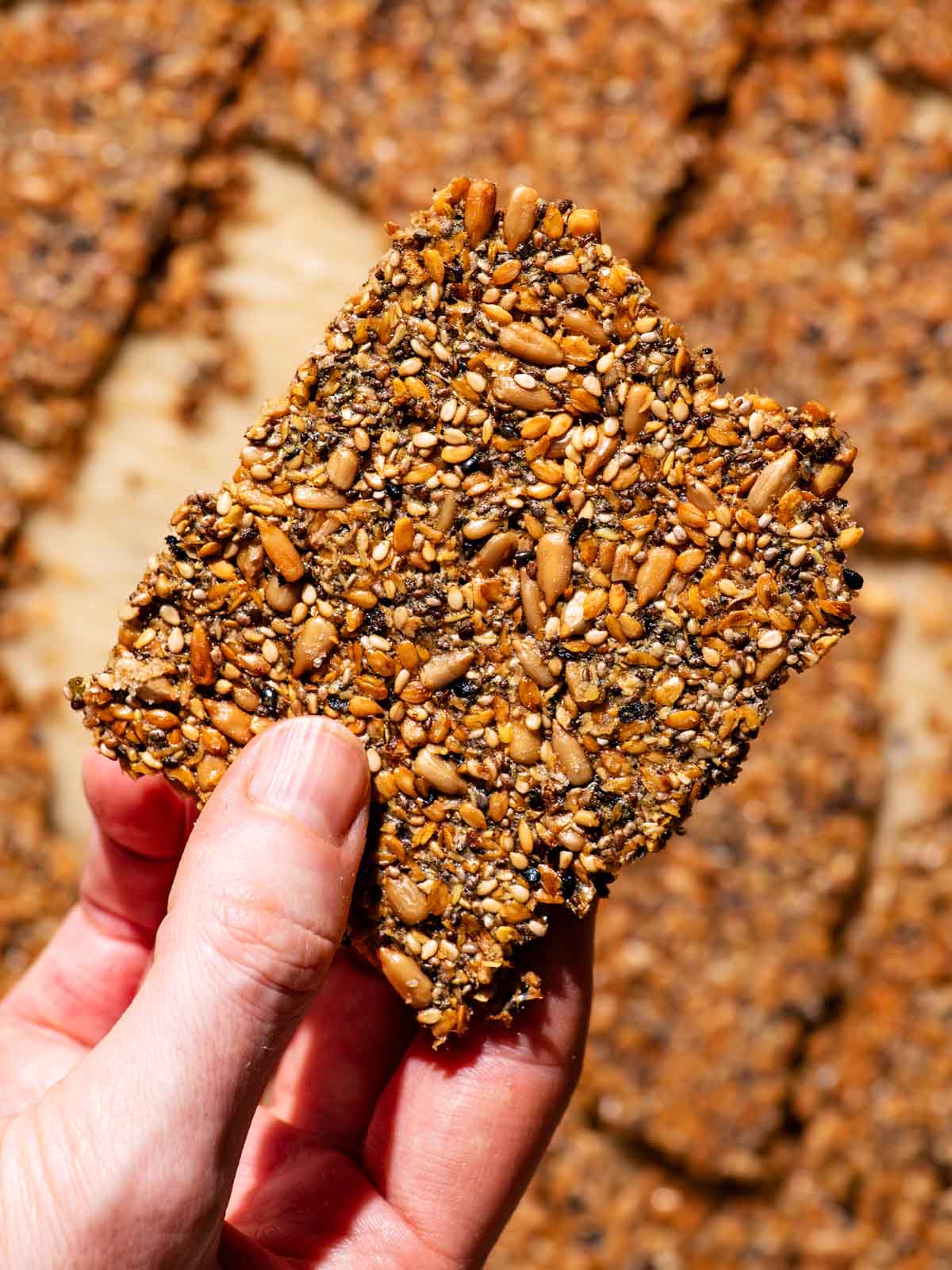 Seed-based cracker held in a hand above a tray with more crackers.