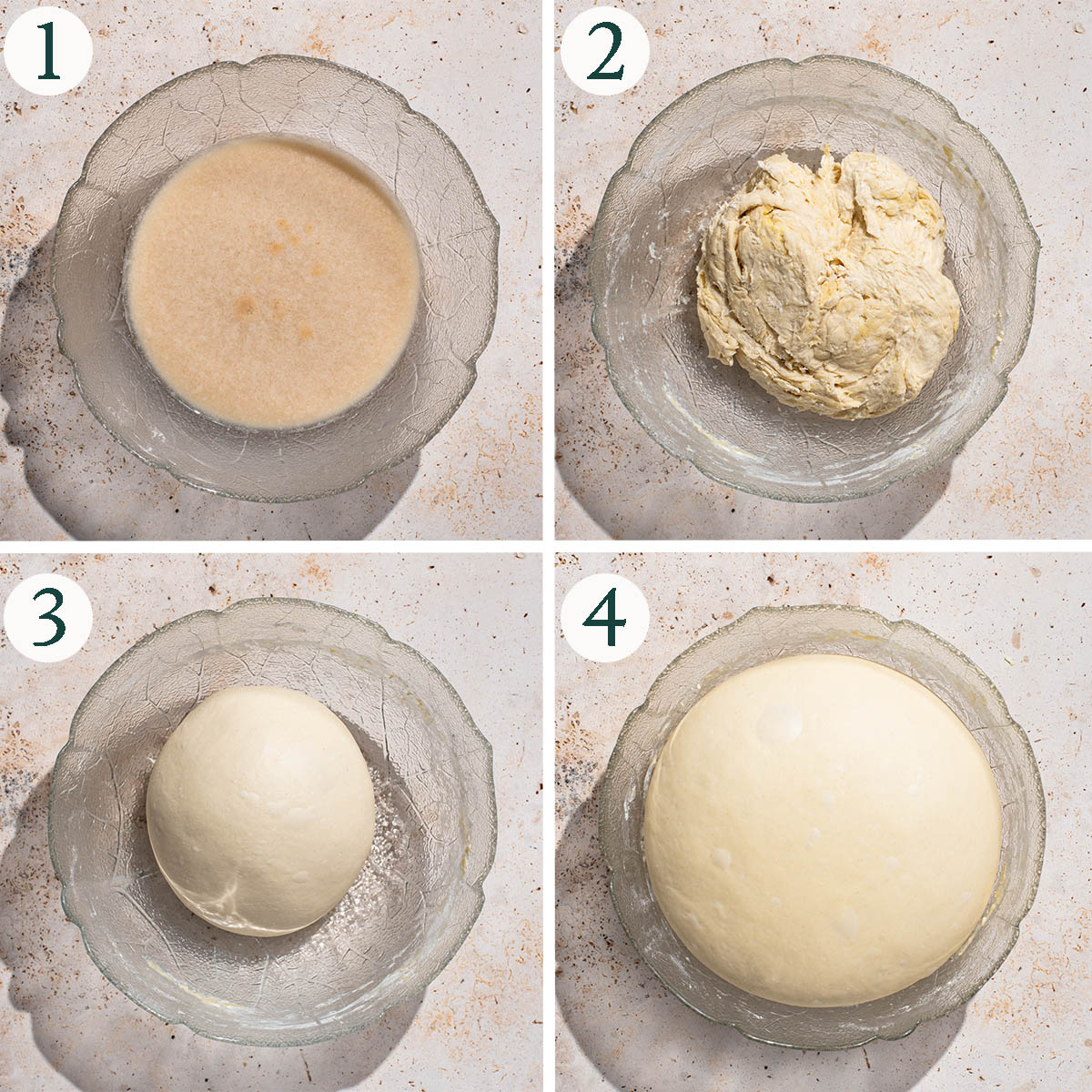 Dough steps 1 to 4, bloomed yeast, before and after kneading, and after rising.