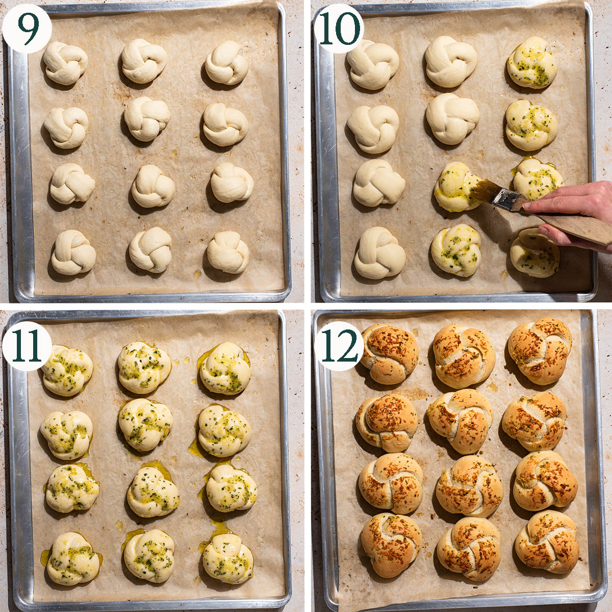 Knots steps 9 to 12, before rising, after rising and being brushed with oil, and before and after baking.